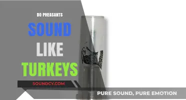 Pheasant vs. Turkey Calls: Unraveling the Surprising Vocal Similarities