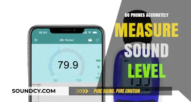 Smartphone Sound Level Measurements: Accurate or Not?