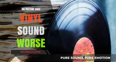Picture Disc Vinyl: Worse Sound or Worth It?