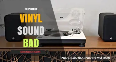 Do Picture Vinyl Records Compromise Sound Quality? A Detailed Analysis