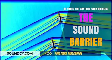 Breaking the Sound Barrier: Do Pilots Experience Sensations?