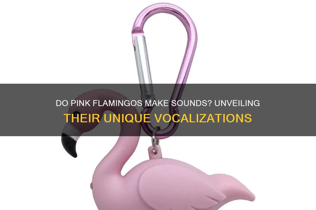 do pink flamingos make sounds
