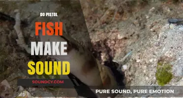 Do Pistol Fish Make Sound? Unveiling the Mystery of Their Unique Noises