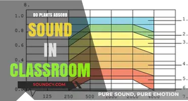 Plants: Reducing Classroom Noise, Improving Learning
