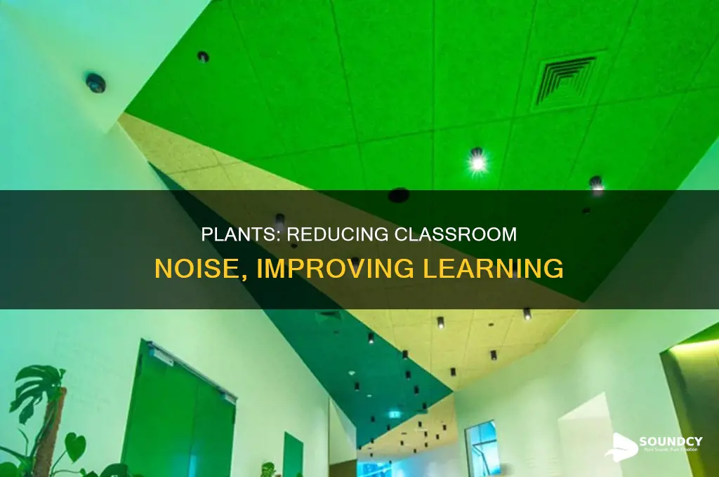 do plants absorb sound in classroom