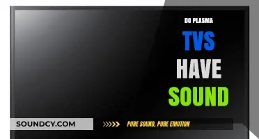 Do Plasma TVs Have Sound? Exploring Audio Features and Limitations