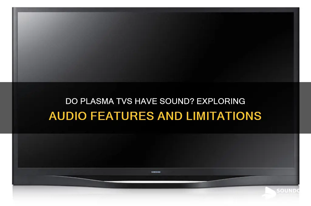 do plasma tvs have sound