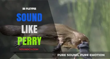 Do Platypus Sounds Resemble Perry the Platypus? Unveiling the Truth