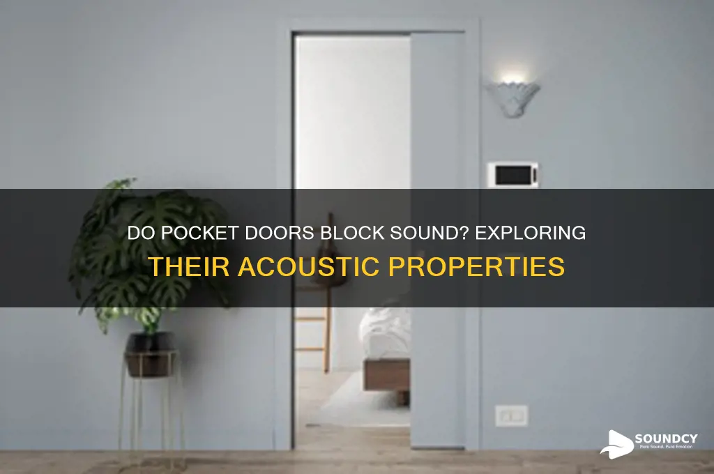 do pocket doors block sound