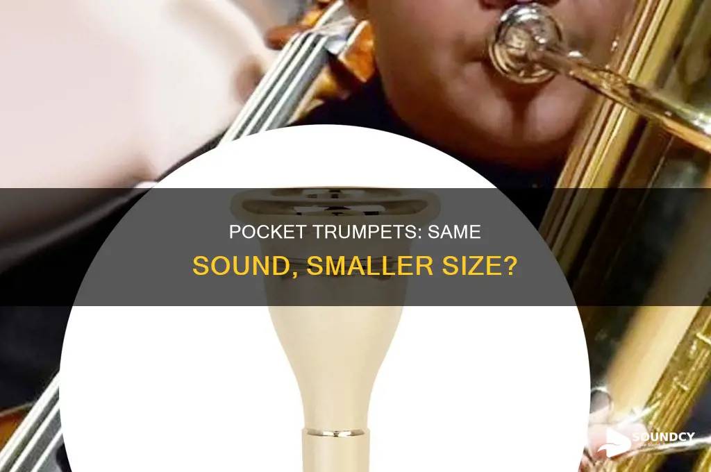 do pocket trumpets sound the same