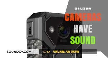 Body Cameras: Do They Record Audio and Video?