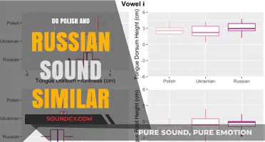 Polish and Russian: Are They Similar?