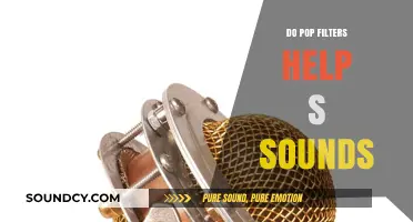 How Pop Filters Improve Sibilant Sounds