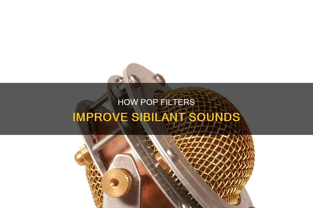 do pop filters help s sounds
