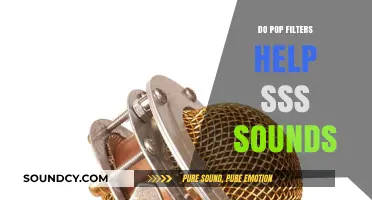 How Pop Filters Help Tame the 'Sss' Sounds