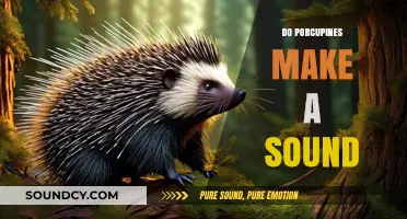 Unveiling the Mystery: Do Porcupines Make Sounds and How?