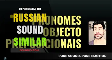 How Different Are Russian and Portuguese?
