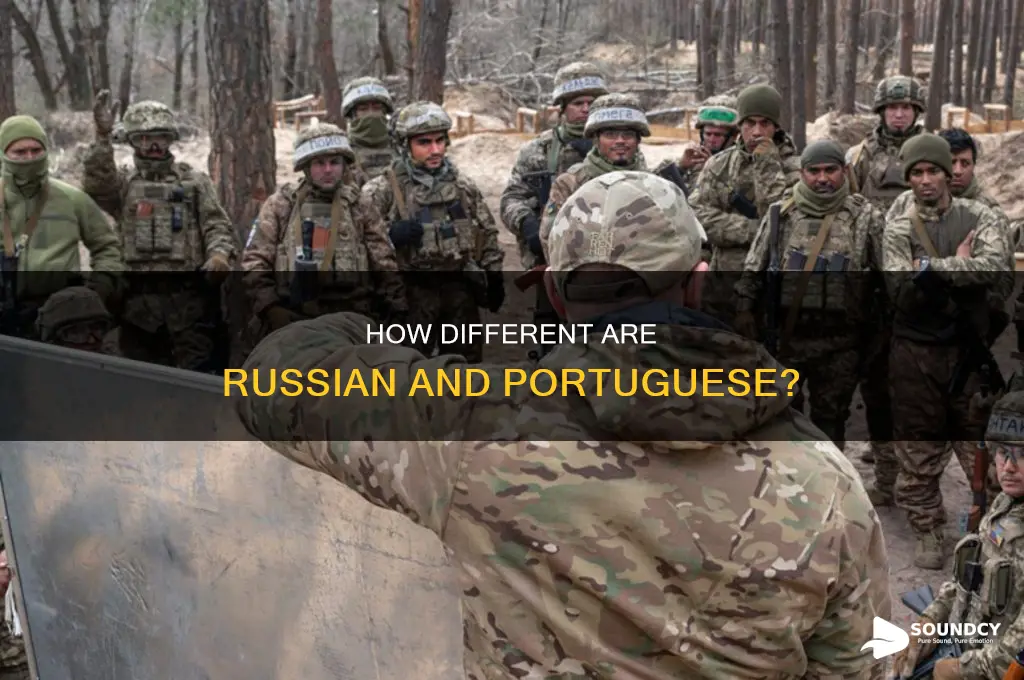 do portuguese and russian sound similar