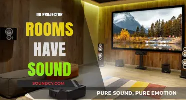 Projector Rooms and Sound: Understanding Audio Setup Essentials