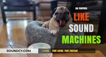 Do Puppies Like Sound Machines? Exploring White Noise Benefits for Dogs