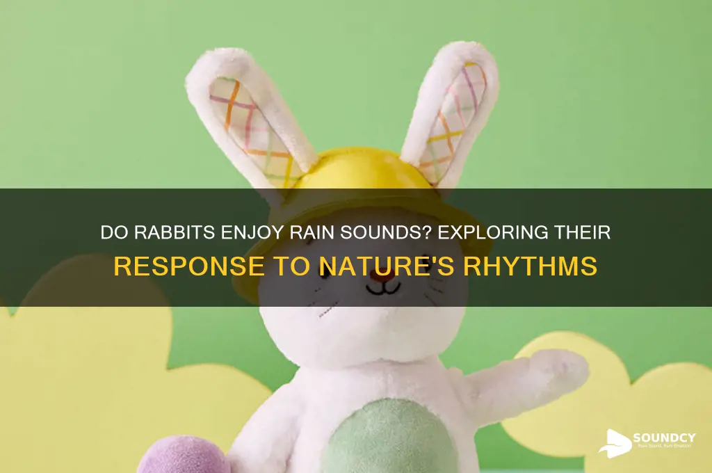 do rabbits like rain sounds