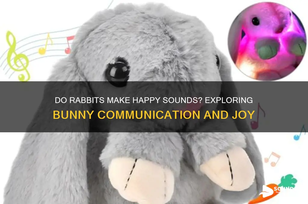 do rabbits make happy sounds