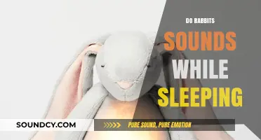 Do Rabbits Make Sounds While Sleeping? Exploring Their Nocturnal Noises
