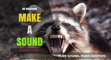 Do Raccoons Make Sounds? Uncovering Their Vocalizations and Noises