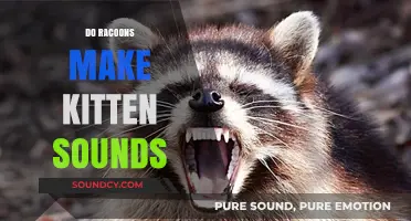 Do Raccoons Mimic Kitten Sounds? Unraveling the Mystery of Their Vocalizations