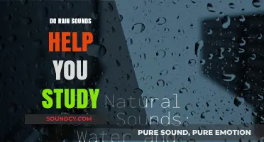 Rain Sounds: Study Superpower or Myth?