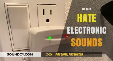 Do Rats Hate Electronic Sounds? Uncovering the Truth Behind Rodent Reactions