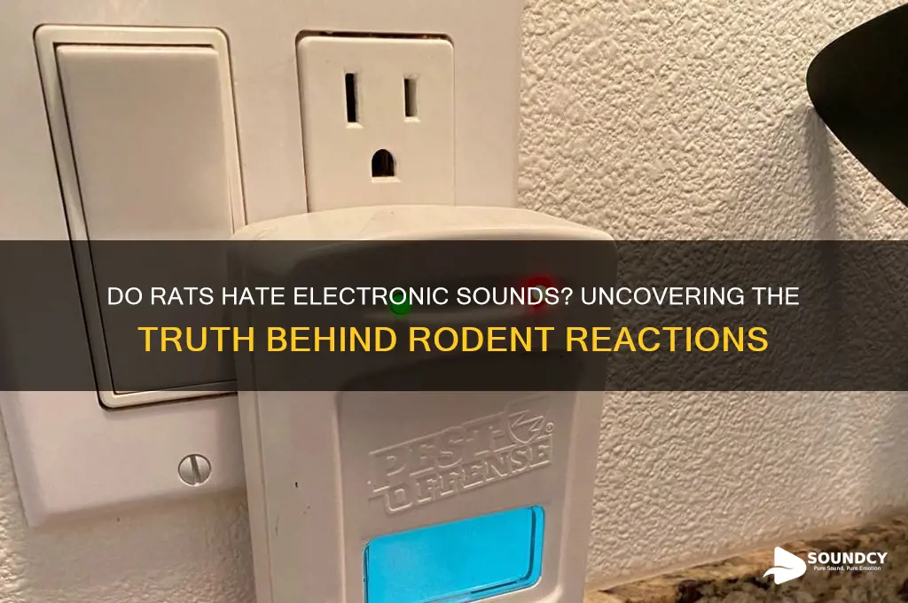 do rats hate electronic sounds