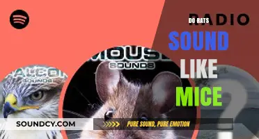 Rats vs. Mice: Decoding the Distinct Sounds They Make