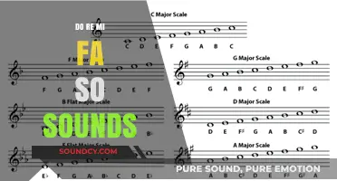 The Magical Sounds of Do Re Mi Fa So