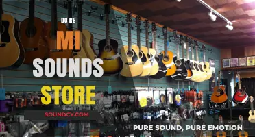 Do Re Mi Sounds Store: Your Ultimate Musical Instrument Destination