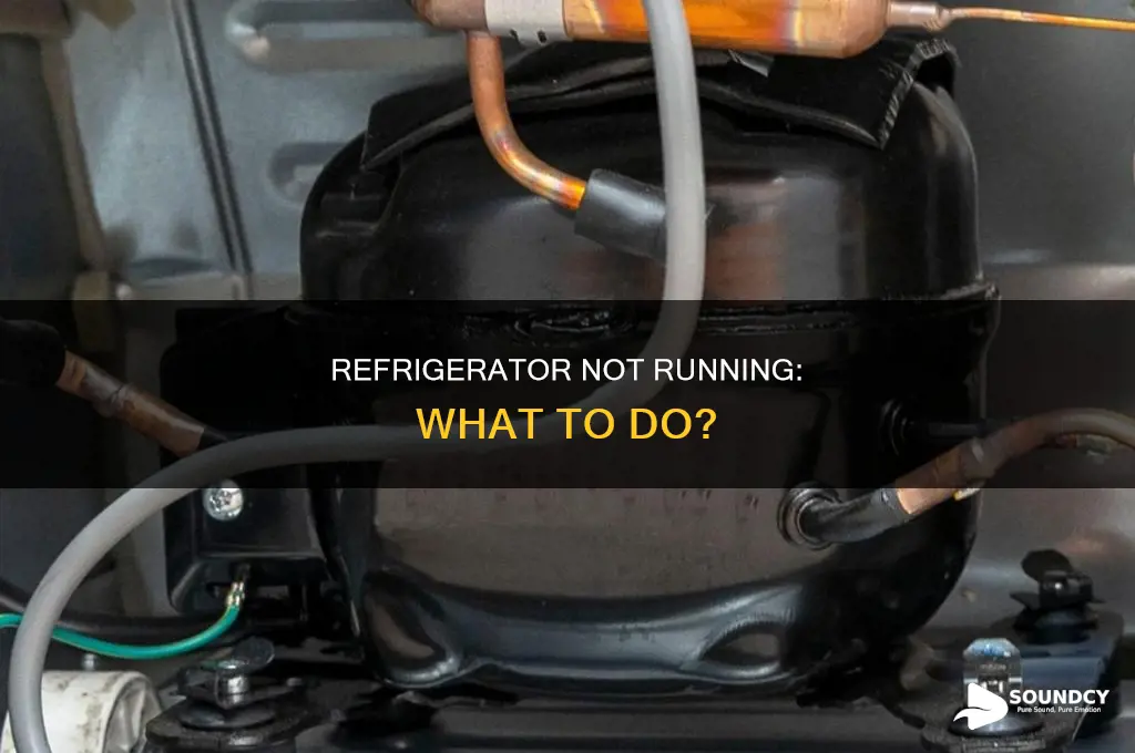 do refrigerator stopped running no sound