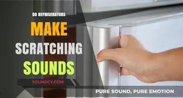 Why Your Refrigerator Makes Scratching Sounds and How to Fix It