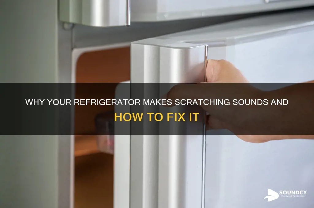 do refrigerators make scratching sounds