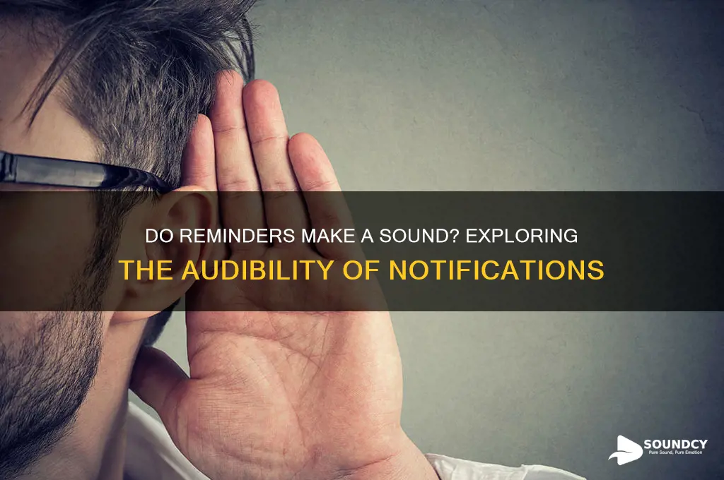 do reminders make a sound