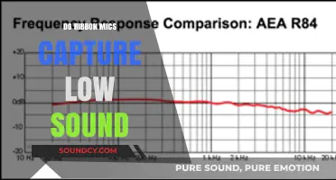 Ribbon Mics: Capturing Low-End Sounds
