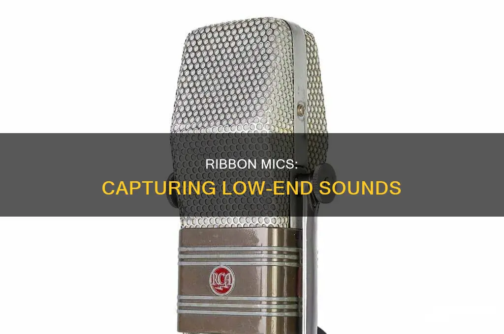 do ribbon mics capture low sound