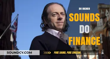 Richer Sounds Financing: Exploring Audio Retailer's Financial Strategies and Success