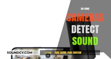 Do Ring Cameras Detect Sound? Exploring Audio Features and Capabilities