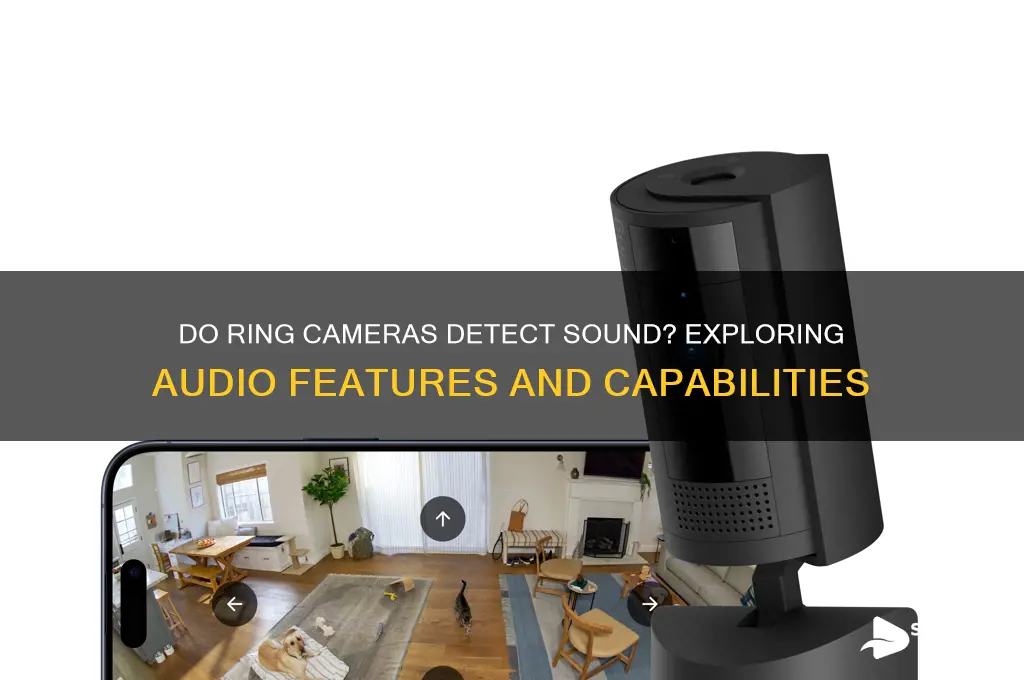do ring cameras detect sound