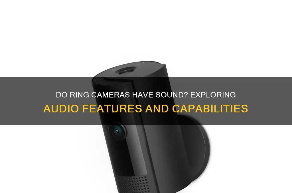 do ring cameras have sound