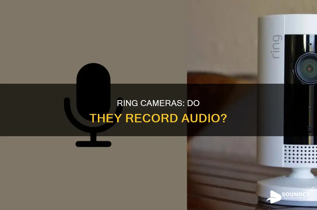 do ring cameras pick up sound