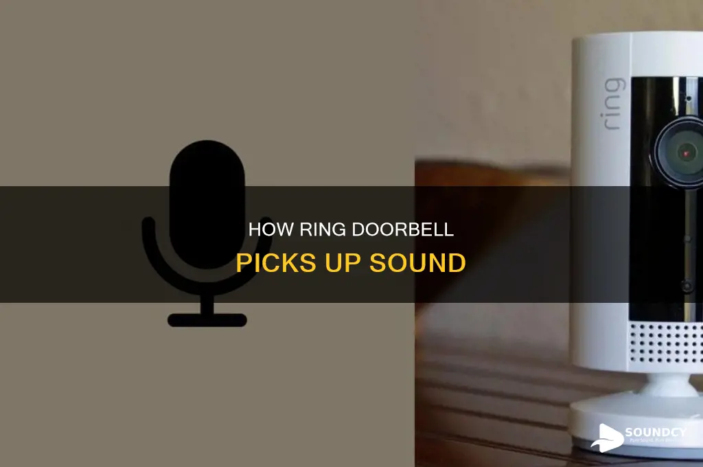 do ring doorbells pick up sound