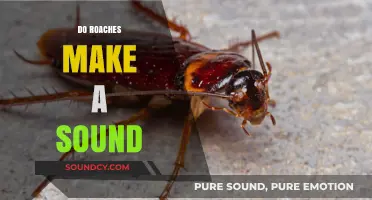Do Roaches Make Noise? Uncovering the Sounds of Cockroaches