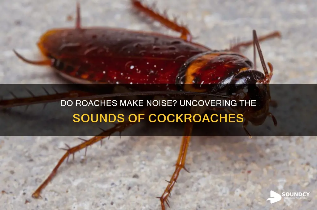 do roaches make a sound