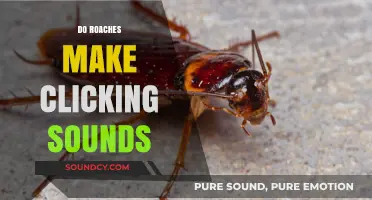 Do Roaches Make Clicking Sounds? Uncovering the Truth Behind Cockroach Noises